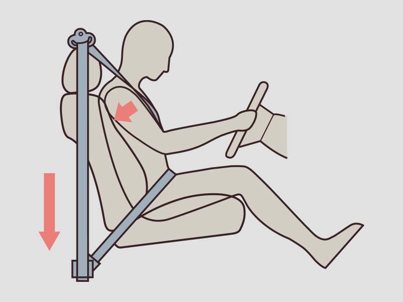 3 Point Seatbelt (All Type) (1)