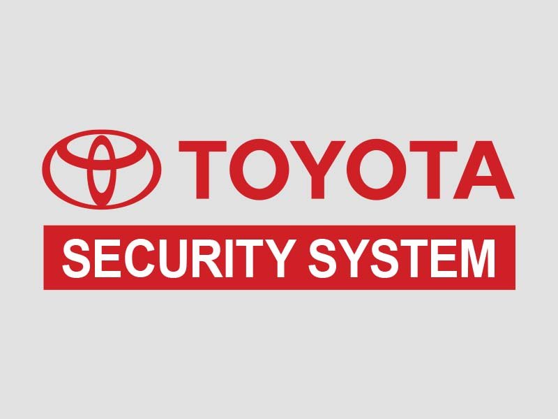 Anti-Theft System (All Type) (1)