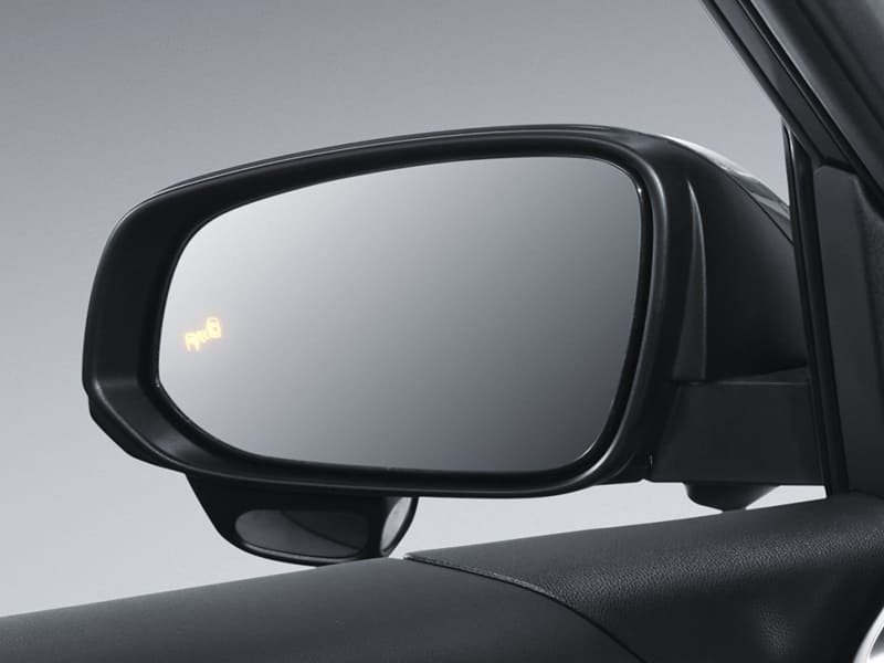 Blind Spot Monitor (BSM) (1)