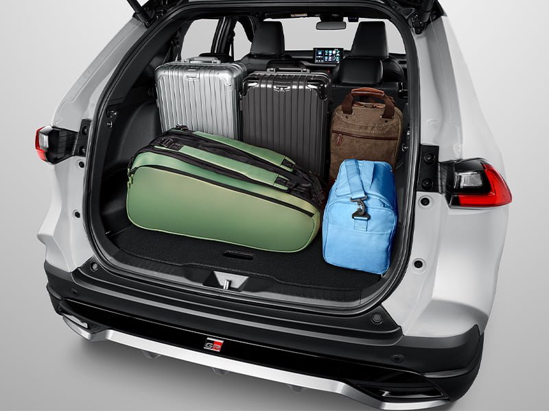 Cozy Spacious Luggage (All Type) (3)