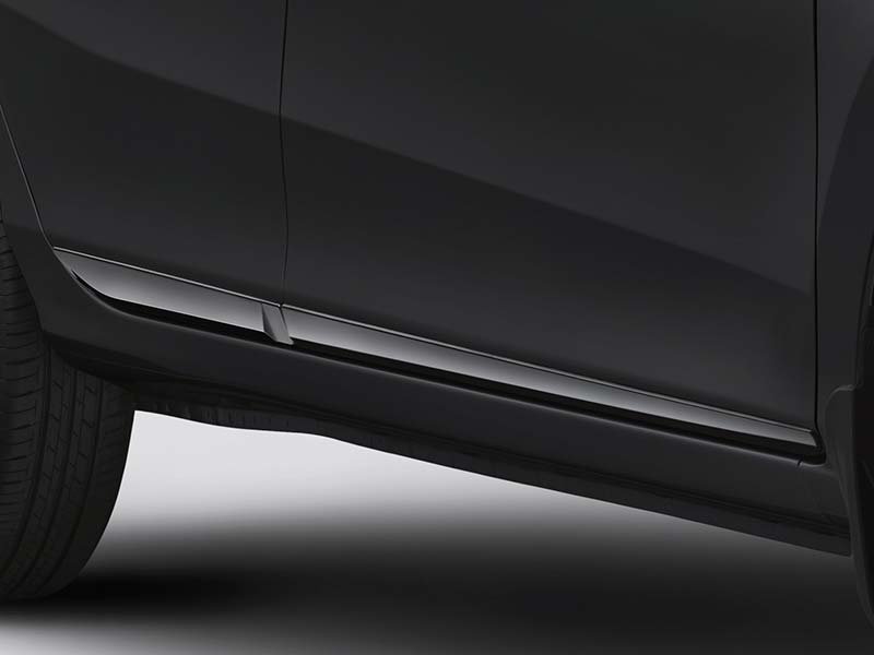 Side Body Moulding (All Type) (2)